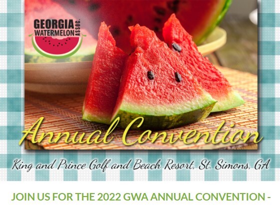Gwa Conf2022